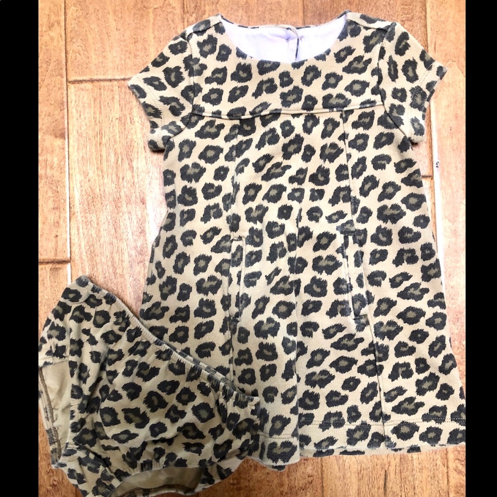 Janie and Jack dress and bloomers